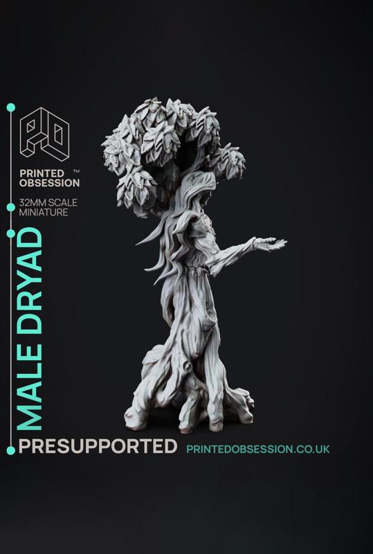 Dryad - Faywild Vs Shadowfell - PRESUPPORTED - Illustrated and Stats - 32mm scale			