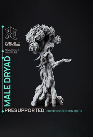 Dryad - Faywild Vs Shadowfell - PRESUPPORTED - Illustrated and Stats - 32mm scale			