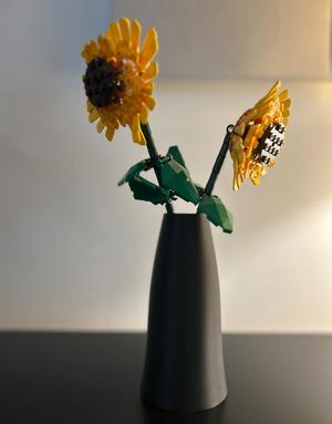 vase