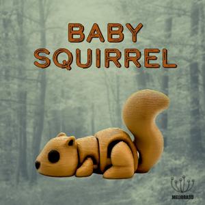 M3D – Baby Squirrel