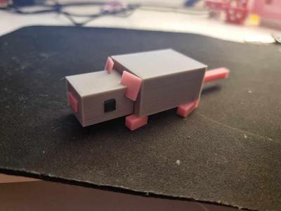 Minecraft Rat