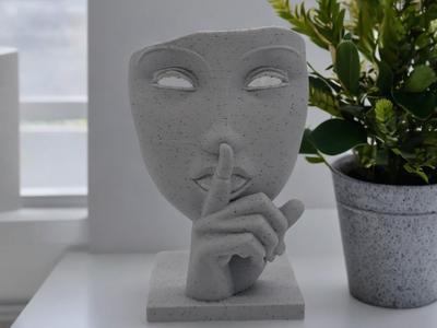 Silent Expression  The Art of Mystery and Elegance