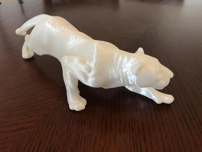 Panther