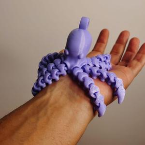 Flexi Print-in-Place octopus keychain no support articulated