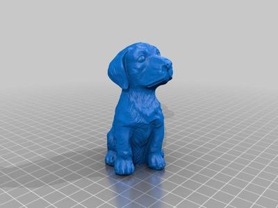 Sitting Dog – 3D Scan