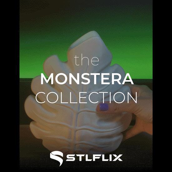 Monstera Collection