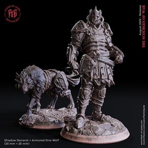 Shadow General + Armored Dire Wolf