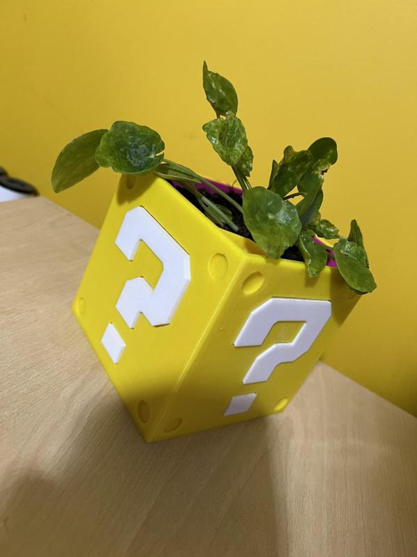 Self Watering Planter - Mario ? Block!