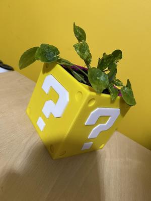 Self Watering Planter - Mario ? Block!