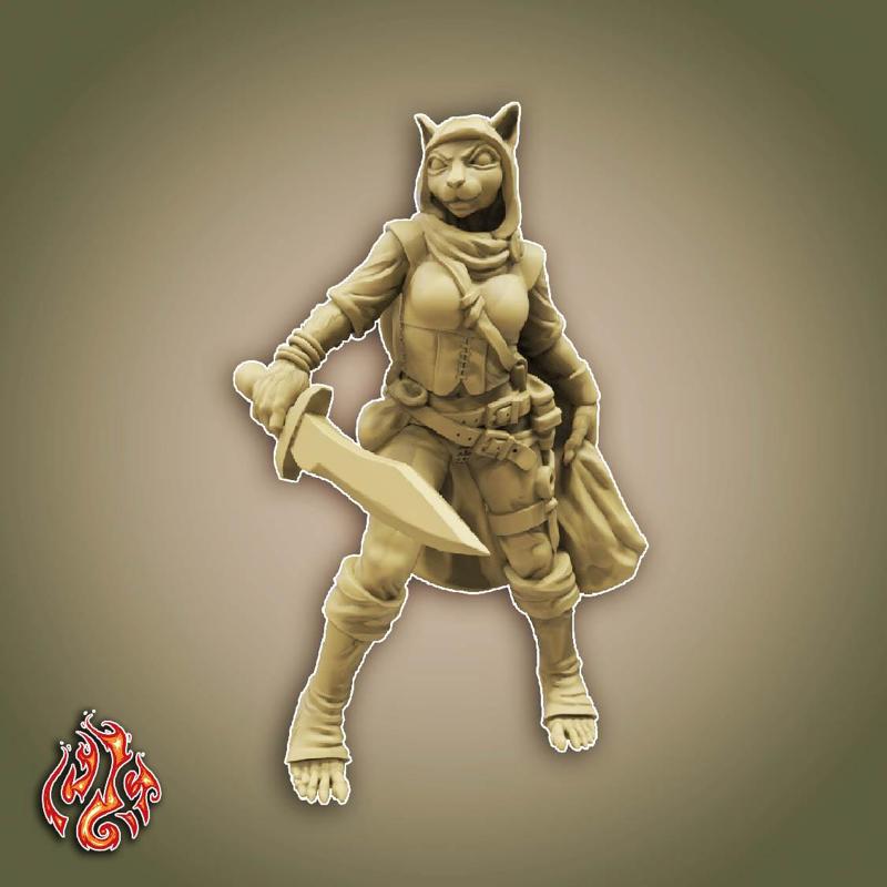 Lace the Tabaxi Rogue