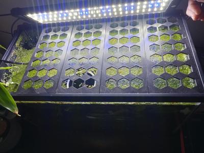 Fish Tank Covers