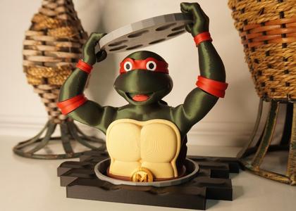 Tortuga ninja - torso dividido por colores