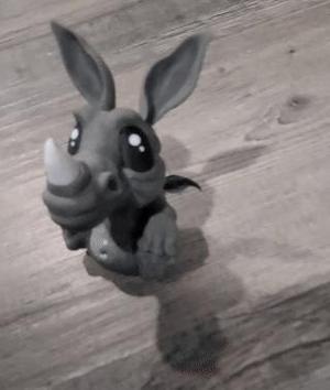 Adorable Baby Rhino