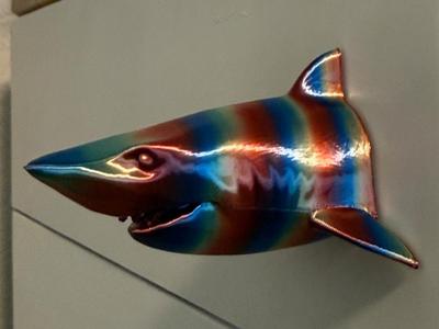 Shark Head Wall Mount