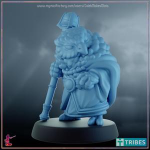  Archimedes  - Owl Wizard [PRE-SUPPORTED] | Avians Series