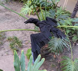 Posable Raven