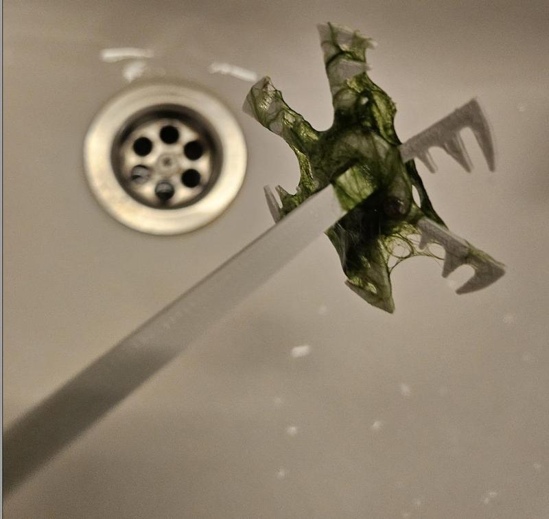 Algae Rake