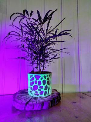 Basic Voronoi Plant Pot 100x115mm