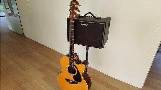 Guitar mount - collapsible