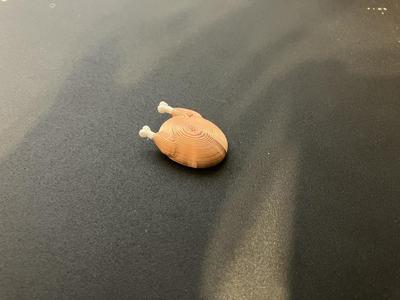 Tiny turkey