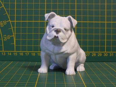Old English Bulldog 75 mm