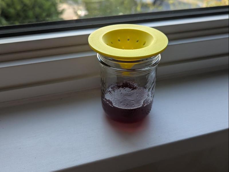 universal fruit fly trap