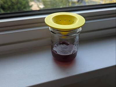 universal fruit fly trap