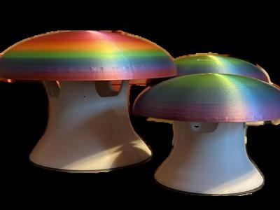 Mrs. Moon's Mushroom Slug Trap