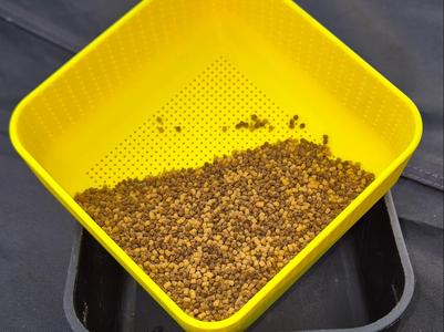 Bait tub pellet Drainer