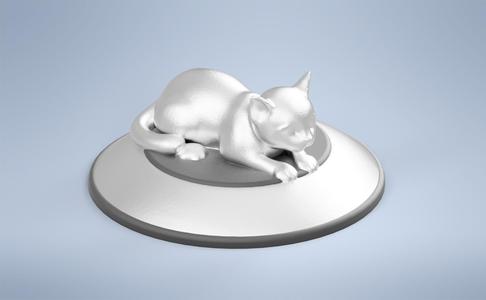 Cute Cat