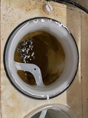 Red Sea filter sock adapter