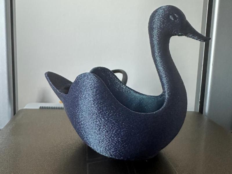 Elegant Duck