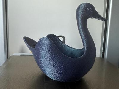 Elegant Duck
