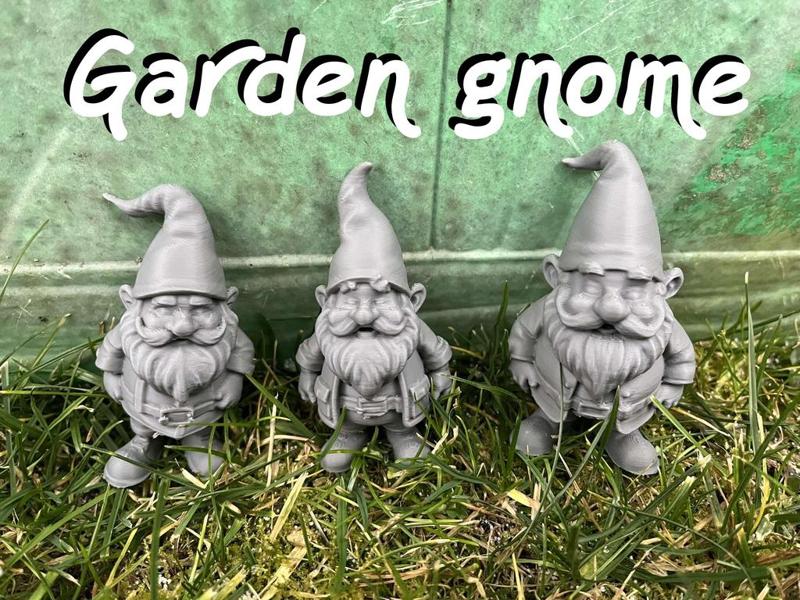 Garden Gnome, Dwarf