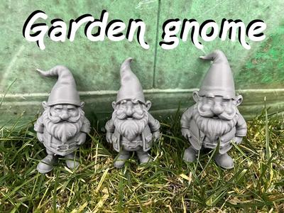 Garden Gnome, Dwarf