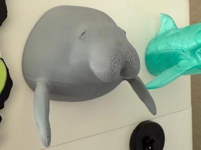 Manatee Head - Mr. Chonks