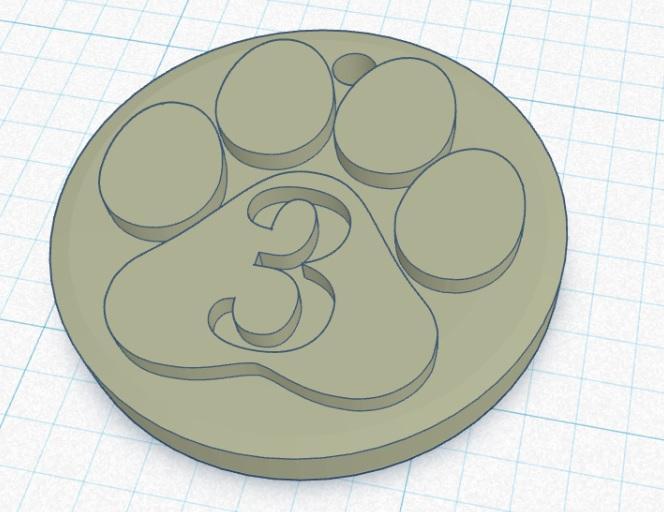 Paw Print Keychain