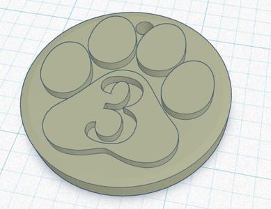Paw Print Keychain