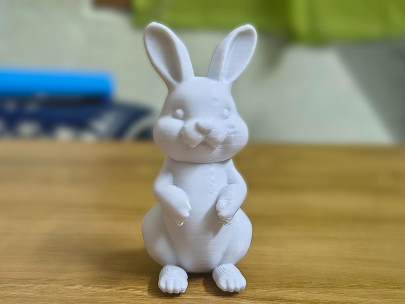Cute Bunny
