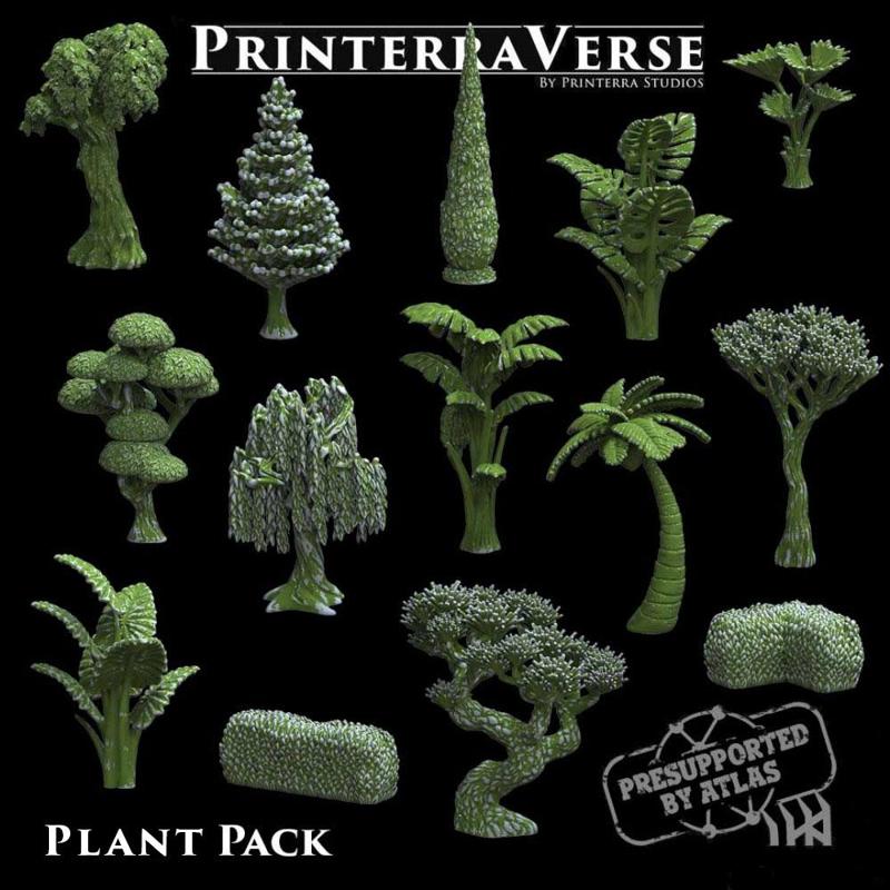 004 PLANT Pack
