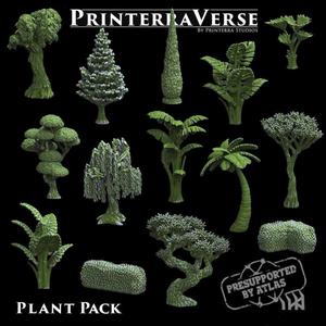 004 PLANT Pack