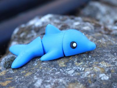 Cute mini baby dolphin