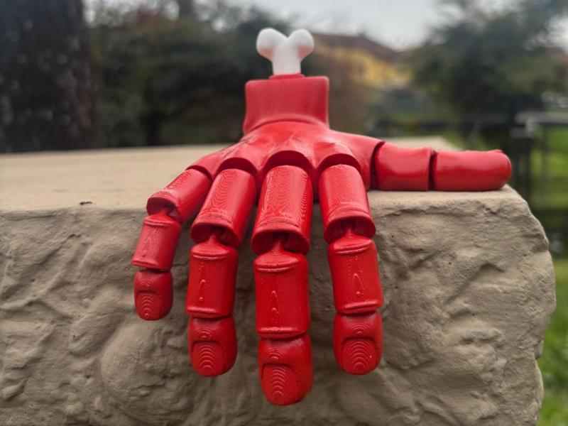 Flexi hand with bone