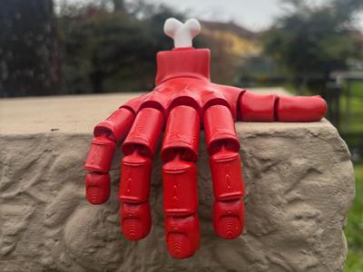 Flexi hand with bone