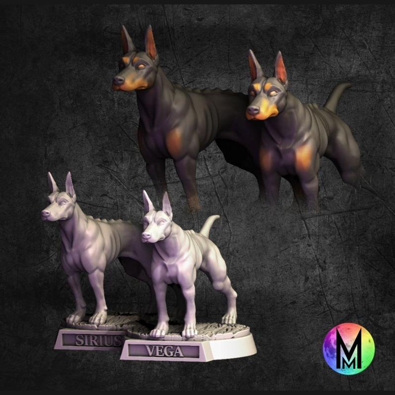 Blink Dogs - SIrus and Vega the Blink Dogs