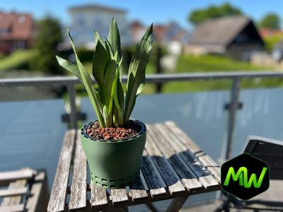 Rootify - Passive Air Cleaning Planter