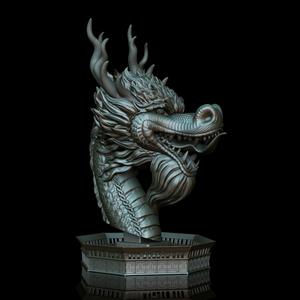 2024 Year of The Dragon Bust