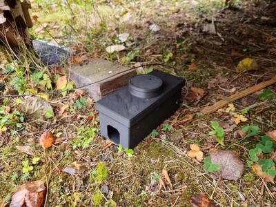 Mouse feeder