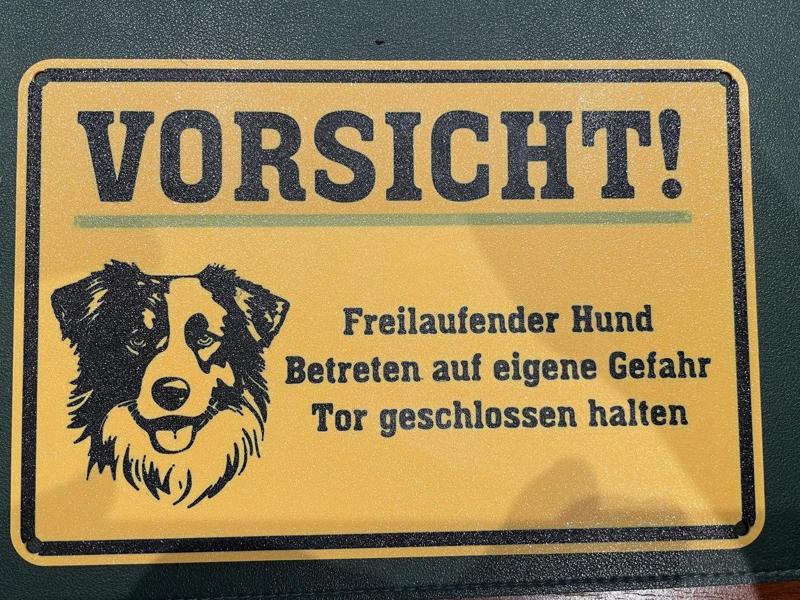 Beware of dog
