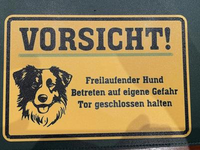 Beware of dog